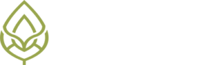 logo placeholder photo